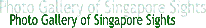 Photo Gallery of Singapore Sights